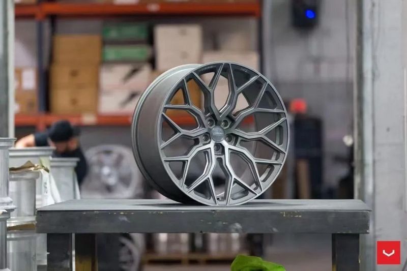 VOSSEN 1.jpg